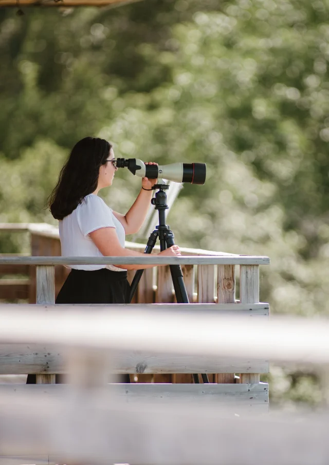 Observation d'oiseaux au Domaine Taschereau, Parc nature à Sainte-Marie