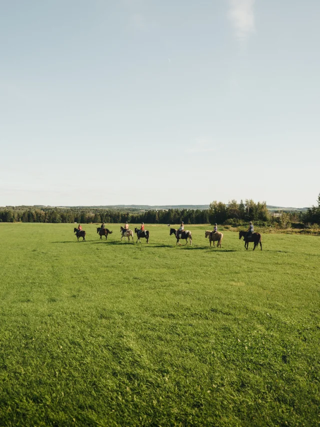 Randonnée à cheval à partir du Ranch Bo-Soleil à Saint-Bernard