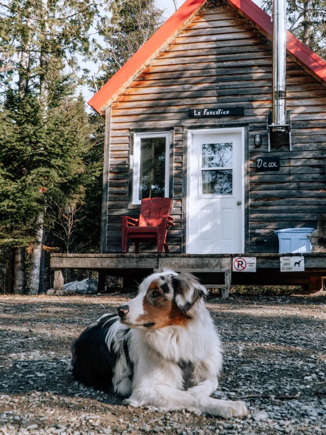 Séjour avec chien au Micro-Chalet Le Forestier à Les Micros-Chalets des Appalaches à Sainte-Lucie-de-Beauregard