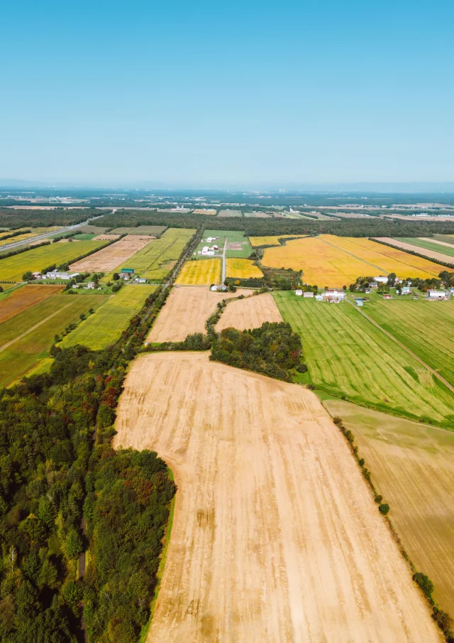 Vue aérienne sur les champs de la Cycloroute de Bellechasse à Saint-Anselme