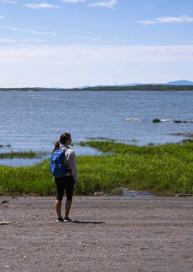 Admirer le fleuve Saint-Laurent dans la Réserve naturelle Jean-Paul-Riopelle à l'Isle-aux-Grues