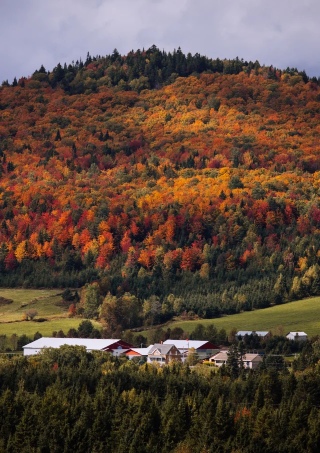 Le Mont-Orignal de Lac-Etchemin en automne
